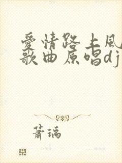 爱情路上风雨多歌曲原唱dj