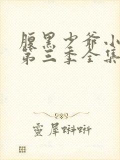 腹黑少爷小甜妻第三季全集