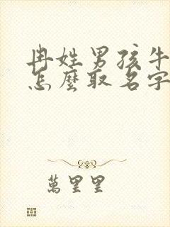 冉姓男孩牛年生怎么取名字