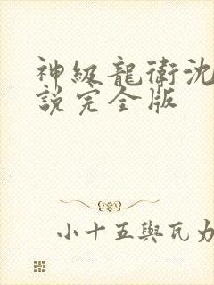 神级龙卫沈浪小说完全版