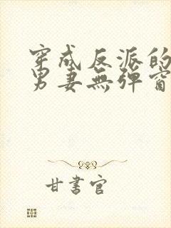 穿成反派的炮灰男妻无弹窗