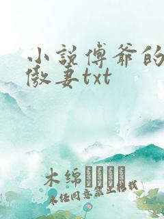 小说傅爷的王牌傲妻txt