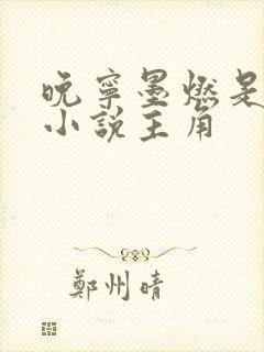 晚宁墨燃是哪部小说主角