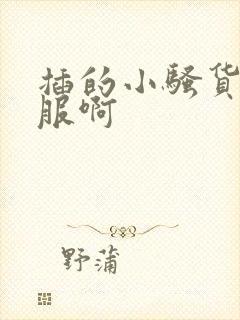 插的小骚货好舒服啊