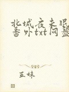 北城夜未眠小说番外txt网盘