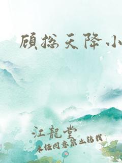 顾总天降小萌妻