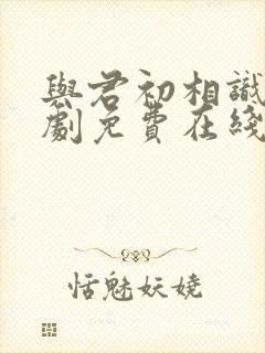 与君初相识电视剧免费在线观看完