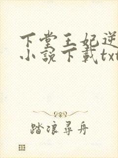 下堂王妃逆袭记小说下载txt