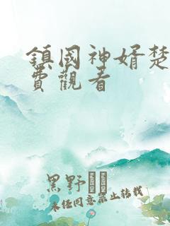 镇国神婿楚尘免费观看