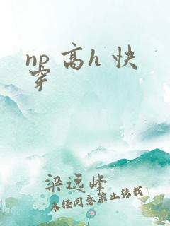 np 高h 快穿