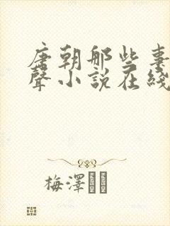 唐朝那些事儿有声小说在线收听