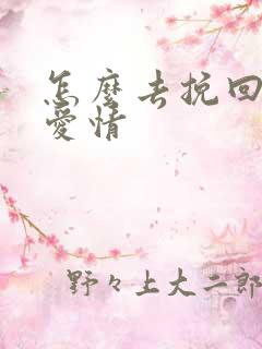 怎么去挽回一段爱情