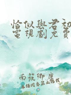 恰似与君初相识电视剧免费观看