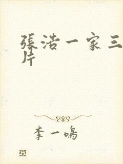 张浩一家三口照片