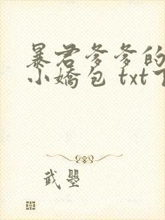 暴君爹爹的团宠小娇包 txt下载