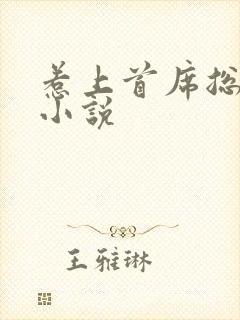 惹上首席总裁2小说