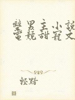 双男主小说推荐电竞甜宠文