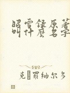 昭雪录原著小说叫什么名字