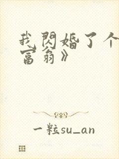 我闪婚了个亿万富翁》