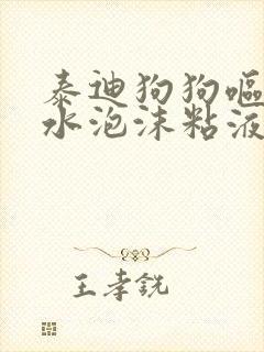 泰迪狗狗呕吐黄水泡沫粘液