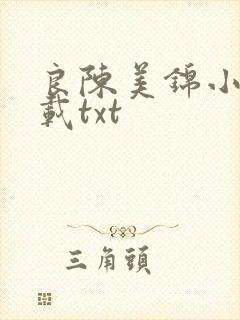 良陈美锦小说下载txt