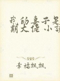 我的妻子是大乘期大佬 小说