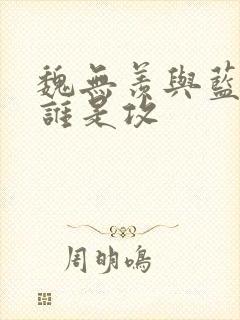 魏无羡与蓝忘机谁是攻