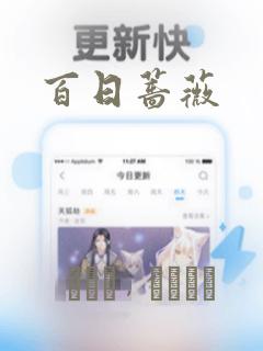 百日蔷薇：结局+番外