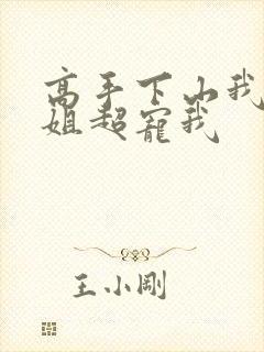 高手下山我家师姐超宠我