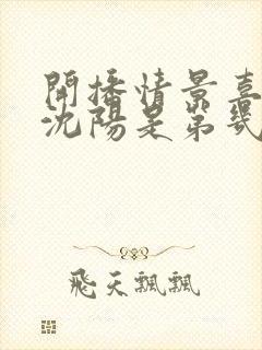 开播情景喜剧小沈阳是第几季