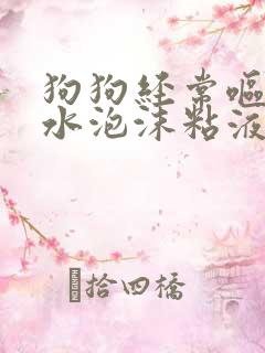 狗狗经常呕吐黄水泡沫粘液