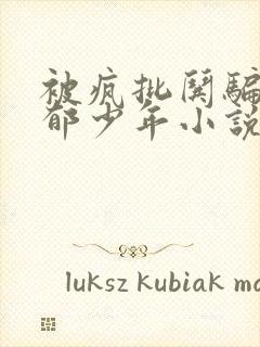 被疯批哄骗的忧郁少年小说免费阅读