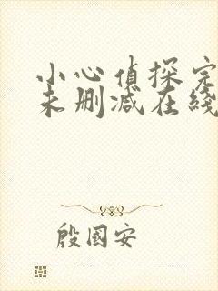 小心侦探完整版未删减在线免费观看