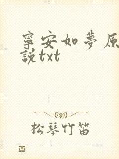 宁安如梦原著小说txt