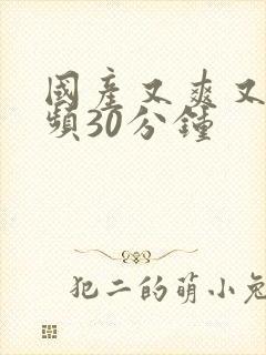 国产又爽又黄视频30分钟