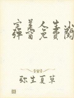 完美人生小说无弹窗免费阅读全文