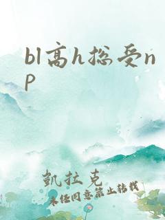 bl高h总受np