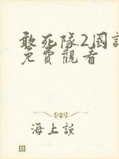 敢死队2国语版免费观看