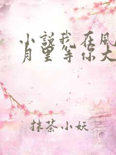 小说我在风花雪月里等你大结局