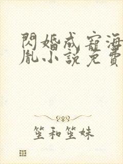 闪婚成宠海彤战胤小说免费阅读