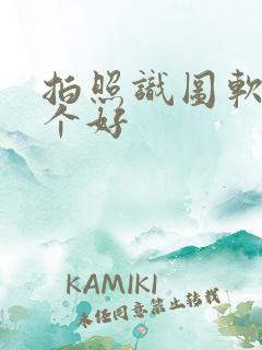 拍照识图软件哪个好