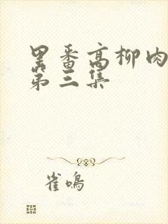 里番高柳肉嫁の第三集