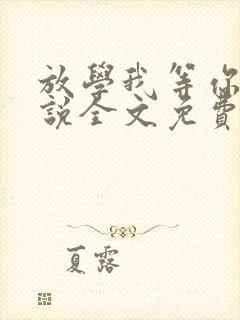 放学我等你哦小说全文免费阅读晋江