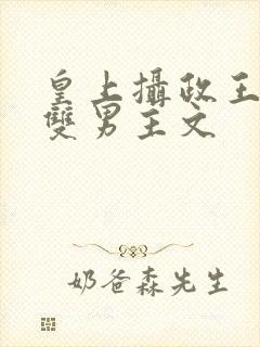 皇上摄政王小说双男主文