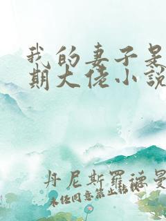 我的妻子是大乘期大佬小说下载