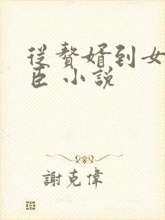 从赘婿到女帝宠臣 小说