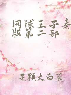 网球王子秦俊杰版第二部