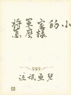 将军家的小娘子怎么样