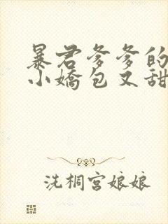 暴君爹爹的团宠小娇包又甜又飒