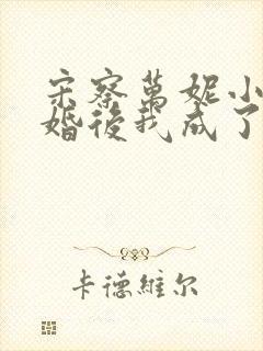 宋察万妮小说闪婚后我成了大佬的掌中之物